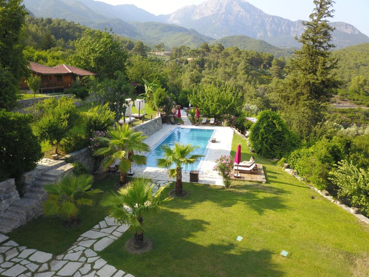 Lycia Nature House Çıralı Eksteriør billede