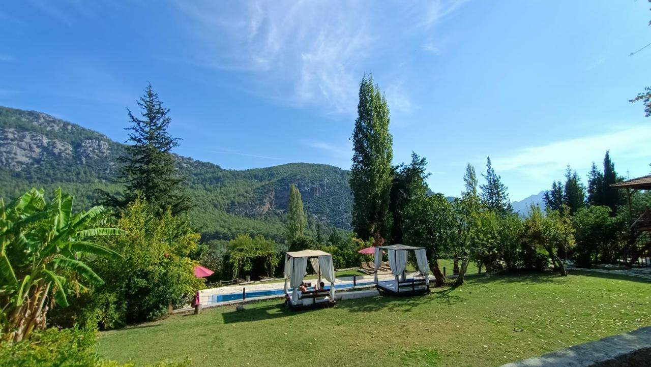 Lycia Nature House Çıralı Eksteriør billede