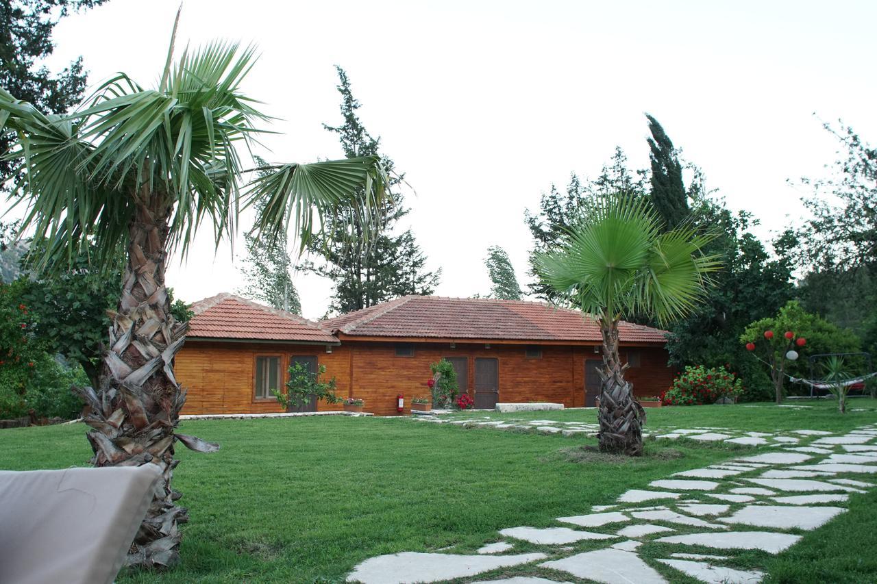 Lycia Nature House Çıralı Eksteriør billede