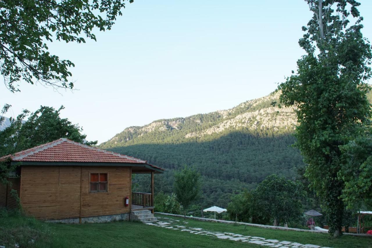 Lycia Nature House Çıralı Eksteriør billede